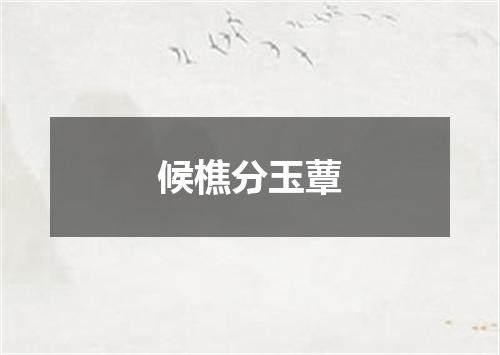 候樵分玉蕈