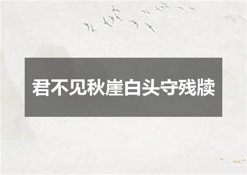 君不见秋崖白头守残牍