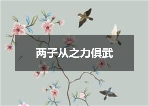 两子从之力俱武