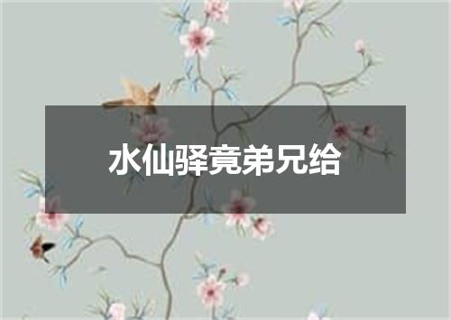 水仙驿竟弟兄给