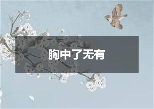 胸中了无有