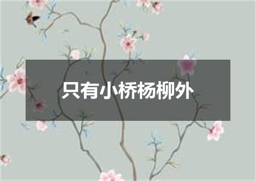 只有小桥杨柳外