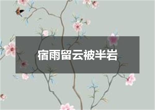 宿雨留云被半岩