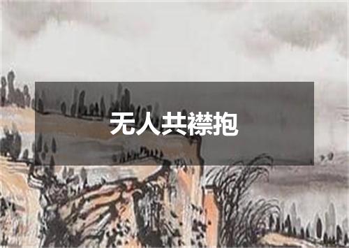 无人共襟抱
