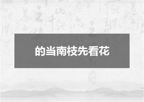 的当南枝先看花