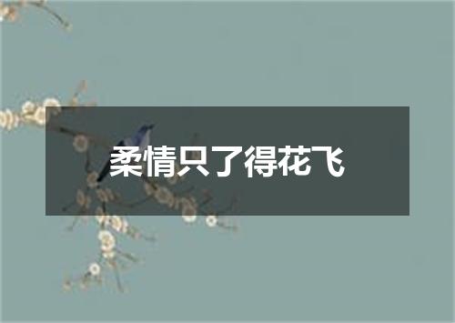 柔情只了得花飞