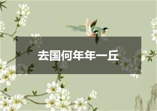 去国何年年一丘