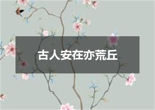 古人安在亦荒丘
