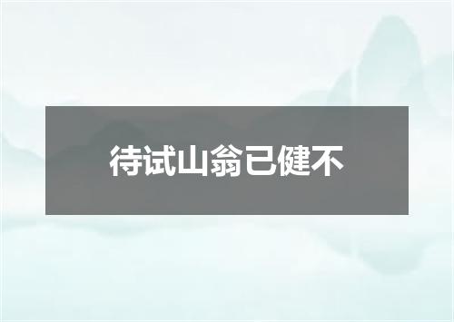 待试山翁已健不