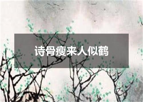 诗骨瘦来人似鹤