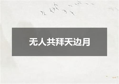 无人共拜天边月