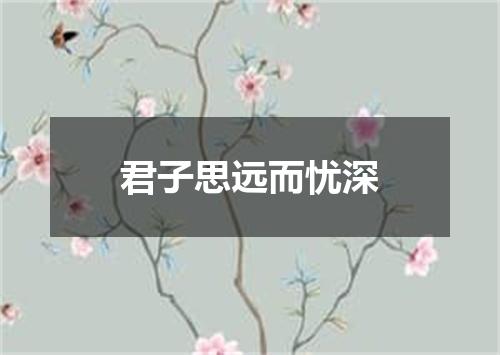 君子思远而忧深