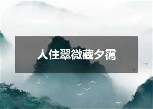 人住翠微藏夕霭