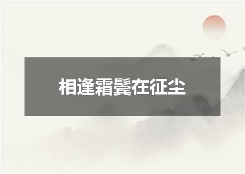 相逢霜鬓在征尘