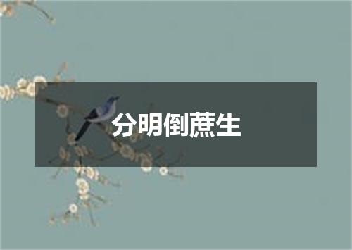 分明倒蔗生