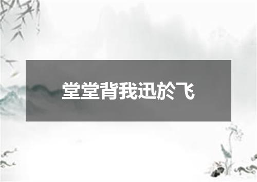堂堂背我迅於飞