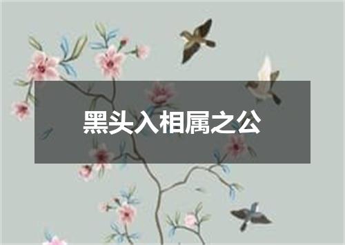 黑头入相属之公