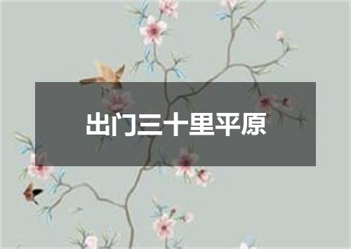 出门三十里平原
