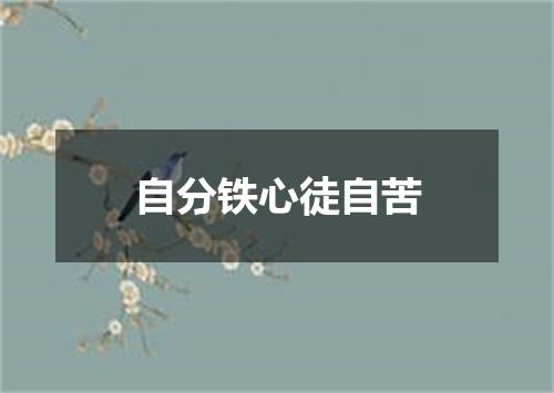 自分铁心徒自苦