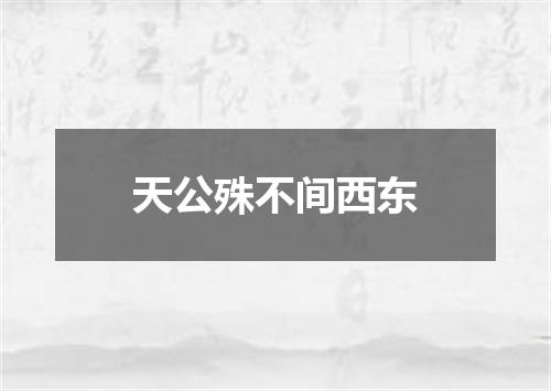 天公殊不间西东