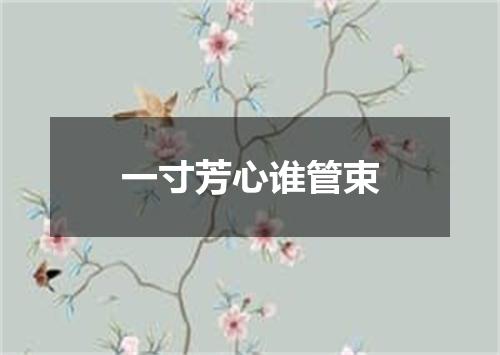 一寸芳心谁管束