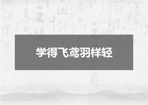 学得飞鸢羽样轻