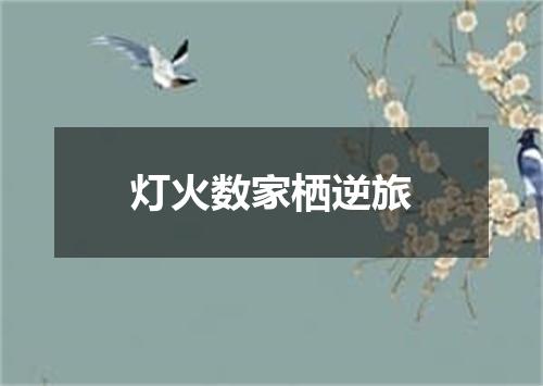 灯火数家栖逆旅