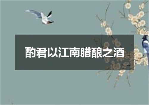 酌君以江南腊酿之酒
