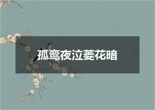 孤鸾夜泣菱花暗