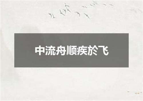 中流舟顺疾於飞