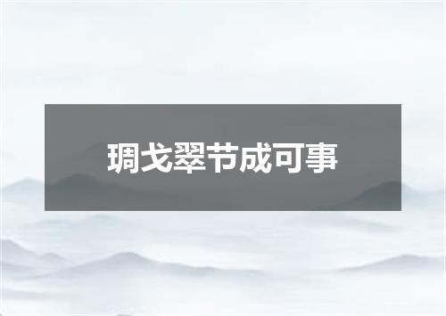 琱戈翠节成可事