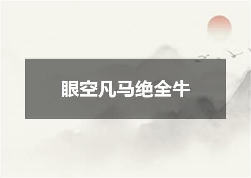 眼空凡马绝全牛