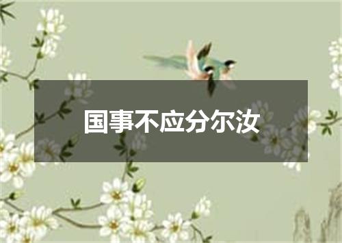 国事不应分尔汝