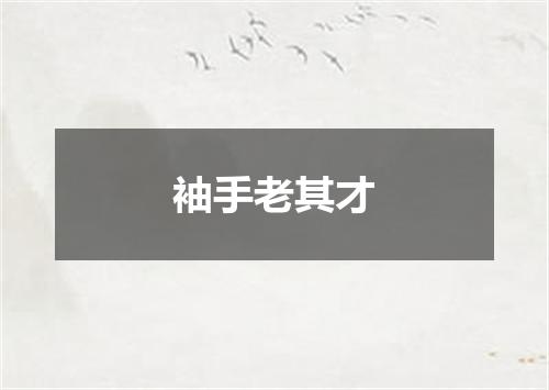 袖手老其才