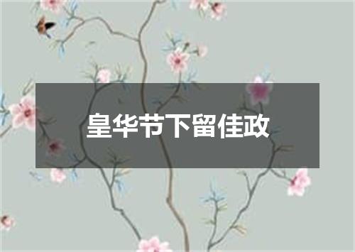 皇华节下留佳政