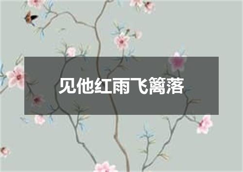 见他红雨飞篱落