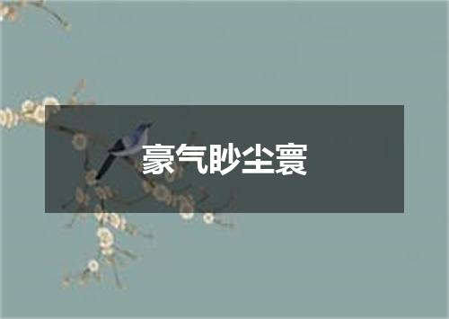 豪气眇尘寰