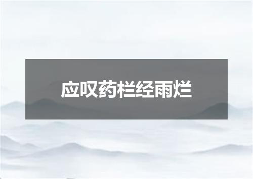 应叹药栏经雨烂
