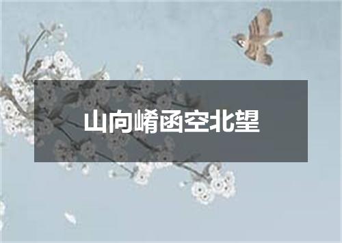 山向崤函空北望