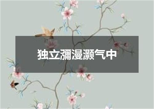 独立瀰漫灏气中