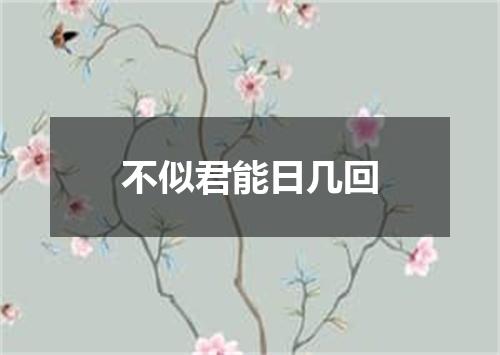 不似君能日几回