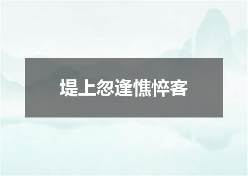 堤上忽逢憔悴客