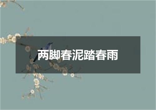 两脚春泥踏春雨