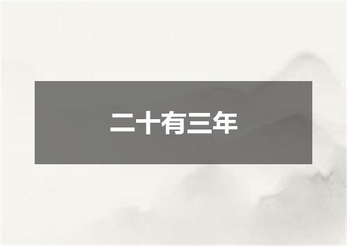 二十有三年