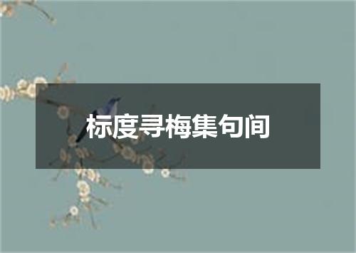 标度寻梅集句间