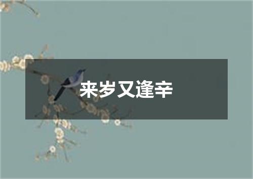 来岁又逢辛