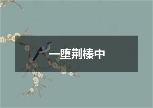一堕荆榛中