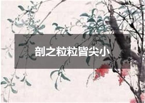 剖之粒粒皆尖小