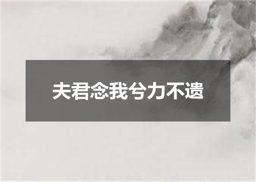 夫君念我兮力不遗