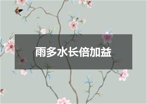 雨多水长倍加益
